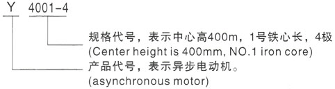 西安泰富西玛Y系列(H355-1000)高压YKS5009-4/1250KW三相异步电机型号说明